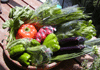 健康レシピ：野菜たち